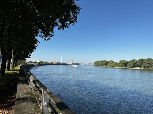 Foto - 2 Zimmer Erdgeschoßwohnung zur Miete in Köln