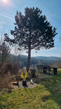 Foto - Einfamilienhaus in Saalfeld (Saale) zum Kaufen