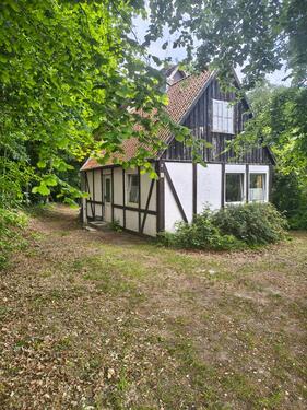 Foto - Haus mit Anbau in Hohwacht (Ostsee), in ruhiger Lage am Waldrand!