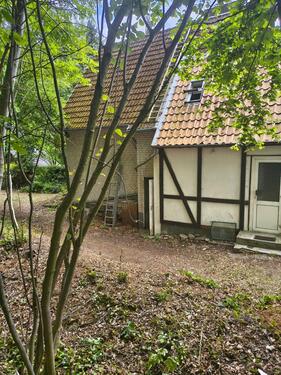 Foto - 5 Zimmer Einfamilienhaus zum Kaufen in Lütjenburg
