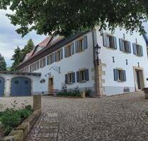 2,5 Zimmer I Einbauküche I Dresdner Süden I Ruhige Lage. - Dresden Prohlis