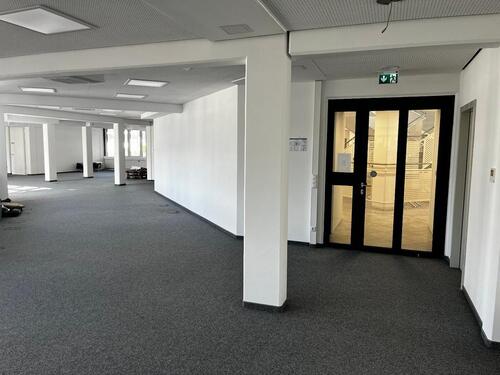 Foto - andere in Mainz