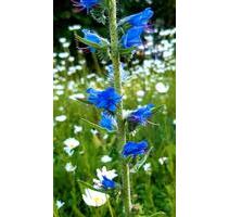 Unterstellplatz Wohnwagen Wohnmobil - Hiddenhausen