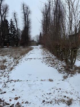 Foto - Mehrfamilienhaus, Wohnhaus zum Kaufen in Dahme/Mark