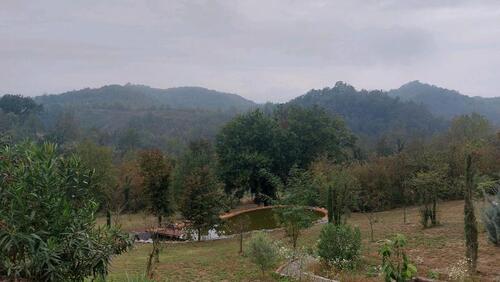 Foto - 