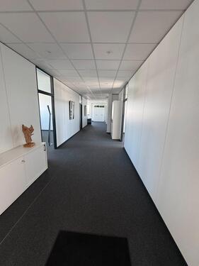 Foto - andere in Wiesloch