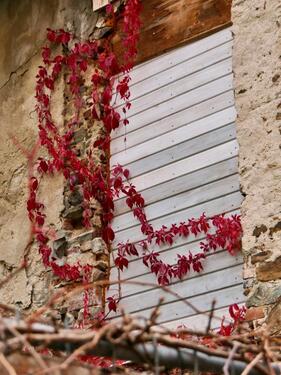 Foto - Einfamilienhaus zum Kaufen in Gefrees