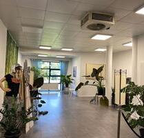 Gewerberaum - 800,00&nbsp;EUR Kaltmiete, ca.&nbsp; 70,00&nbsp;m&sup2; in Passau (PLZ: 94036) Auerbach