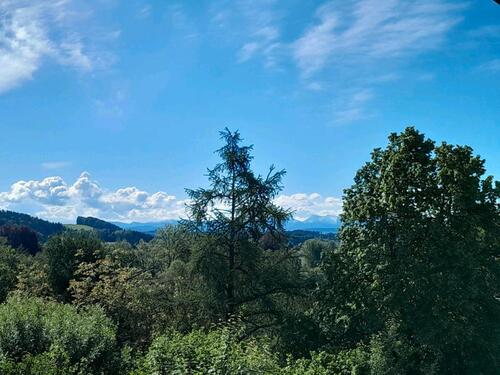 Foto - Wangen im Allgäu 3,5 Zimmer whg