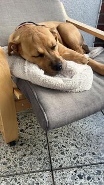 Foto - Haus oder Wohnung - 1.400,00&nbsp;EUR Kaltmiete, ca.&nbsp; 100,00&nbsp;m&sup2;