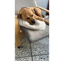 Haus oder Wohnung - 1.400,00&nbsp;EUR Kaltmiete, ca.&nbsp; 100,00&nbsp;m&sup2; in Bielefeld (PLZ: 33719) Heepen