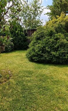 Foto - 5 Zimmer Doppelhaushälfte zum Kaufen in Celle