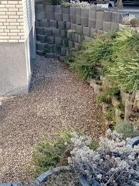 Foto - Etagenwohnung in Lage zur Miete