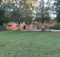 Mietkauf möglich* Objekt für Verwirklichungen* ein Hektar Koppel - Wester-Ohrstedt