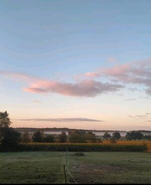Foto - 6 Zimmer Bauernhaus, Landhaus zum Kaufen in Wester-Ohrstedt