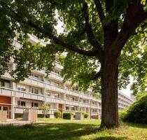 Einziehen & Wohlfühlen – 4-Zimmer-Wohnung im Erdgeschoss - Halle (Saale) Halle-Neustadt