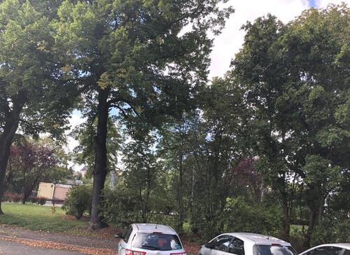 Foto - 2 Zimmer Etagenwohnung zur Miete in Döbeln