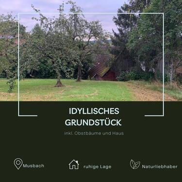 Foto - Idyllisches Grundstück mit Obstbäumen in Musbach