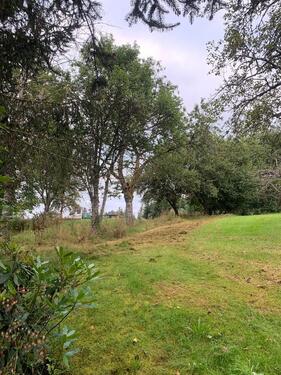 Foto - Grundst&uuml;ck in Freudenstadt