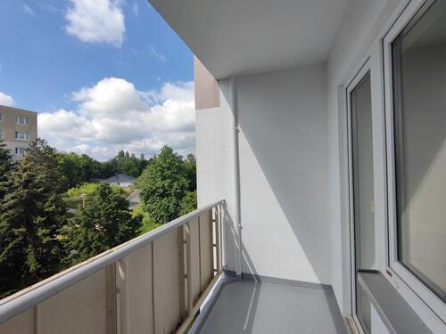 Foto - FRÜHLING auf dem BALKON genießen