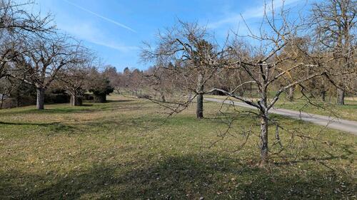 Foto - Streuobstwiese zur Pacht - 1200qm in Hildrizhausen