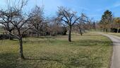 Foto - Grundst&uuml;ck zur Miete in Wildberg