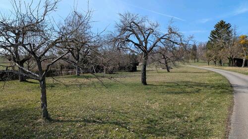 Foto - Grundst&uuml;ck zur Miete in Wildberg