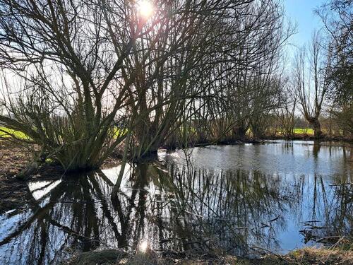 Foto - Stellplatz für autarkes Fahrzeug Freizeit