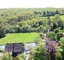 Wohnung in Daaden- Biersdorf, ruhige Waldrandlage