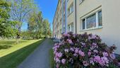 Foto - Frisch renovierte 2-Raumwohnung mit EBK in Bad Lausick