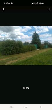 Foto - Bungalow in Großlittgen zum Kaufen