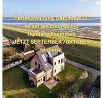 Nordsee-Glück ⚓️ Ferienwohnung direkt am Eiderdeich mit Hund - Tönning Nordsee-Glück ⚓️ Ferienwohnung direkt am Eiderdeich mit Hund - Tönning