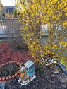 Foto - Hausverkauf, klein aber fein - 320.000,00&nbsp;EUR Kaufpreis, ca.&nbsp; 94,00&nbsp;m&sup2;