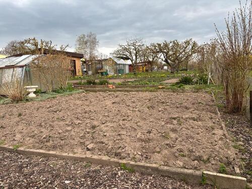 Foto - Grundst&uuml;ck zur Miete in Papendorf