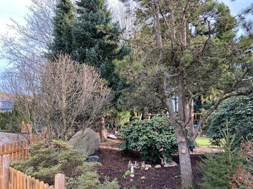 Foto - Einfamilienhaus in Boos zum Kaufen