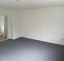 3 Zimmer Wohnung frisch renoviert EBK DUSCHE BLICK AUF GRÜN - Plattenburg