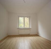 **Große 2-Zimmer-Wohnung mit Balkon in ruhiger Wohnlage zu vermieten** - Plauen