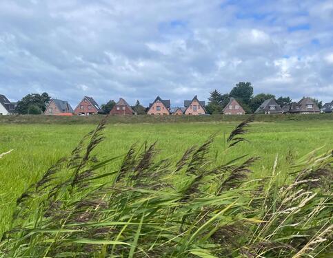 Foto - Bezugsfertiger Neubau (von privat) mit Blick auf die Deichwiesen