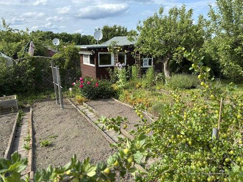 Foto - Gartenglück 240 m² ab sofort zu vergeben – KGA Beutenberg