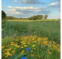 Gemüsegarten - 5,00&nbsp;EUR Kaltmiete, ca.&nbsp; 0,00&nbsp;m&sup2; in Trittau (PLZ: 22946)