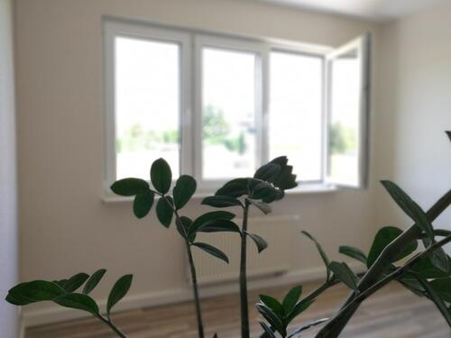 Foto - Etagenwohnung in Geithain zur Miete