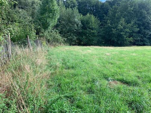 Foto - * Lederhose * A9 * An Feld & Wald * Stellplatz für Caravan Bulli*