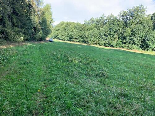 Foto - andere in Münchenbernsdorf