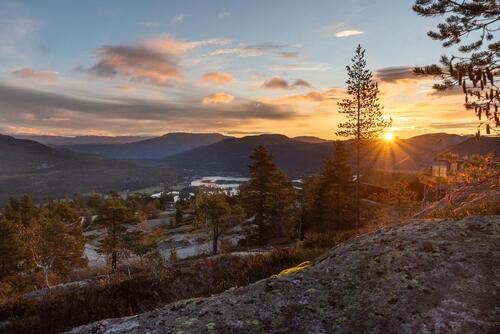 Foto - andere in Hamburg