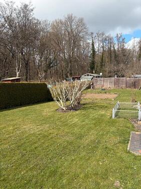 Foto - Grundst&uuml;ck zur Miete in Rothenburg/Oberlausitz