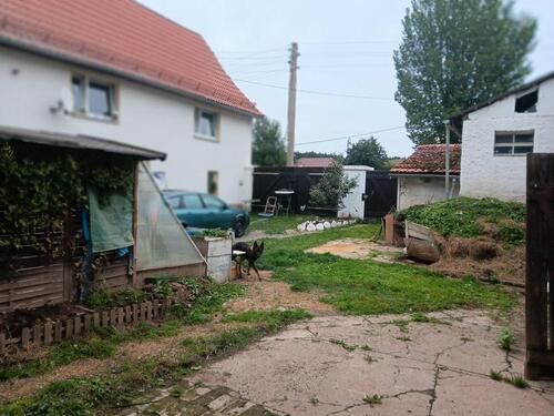 Foto - 6 Zimmer Mehrfamilienhaus, Wohnhaus zum Kaufen in Berga/Elster