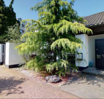 Großzügiges freistehendes EFH mit viel Licht, großes Grundstück - Bocholt Stenern