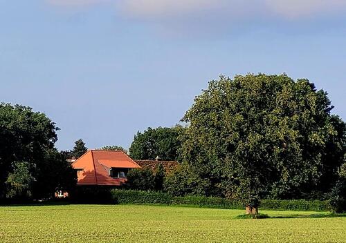 Foto - Perle im Grünen - energieeffizent saniertes EFH zu vermieten