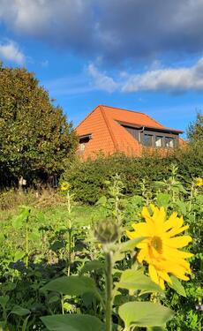 Foto - Einfamilienhaus zur Miete in Kremperheide