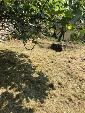 Foto - andere zur Miete in Mainz